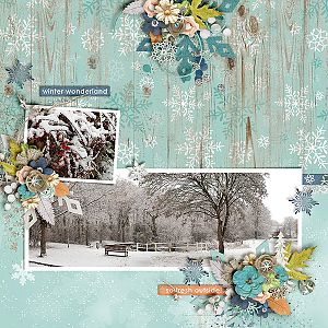 Snowy wonderland