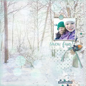 Snow Fun