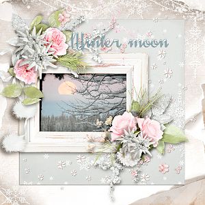 Winter-moon