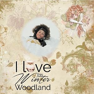 Booland Dsigns-Winter Woodland