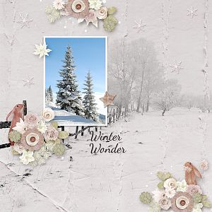 Booland Designs Winter Woodland