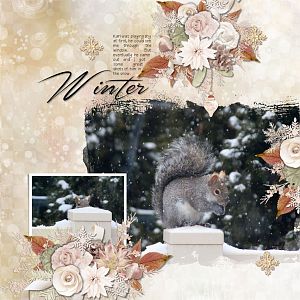 BooLand Designs - Winter Woodland 1