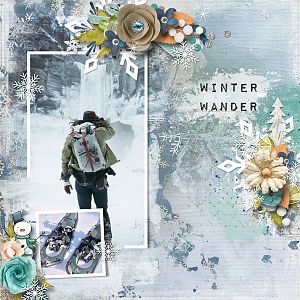 Winter Wander