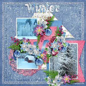 Winter-wonder