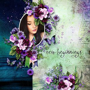 New Beginnings