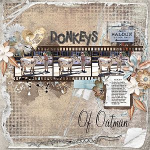 Donkeys Of Oatman