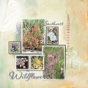 March template - SW Wildflowers