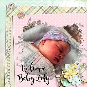 Welcome Baby Lily