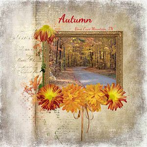 Booland Designs - INSD Autumn - Barbara01