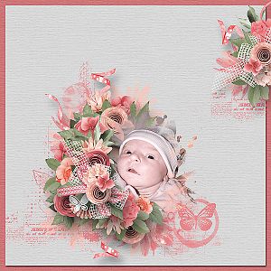 moos_sunnyflowers