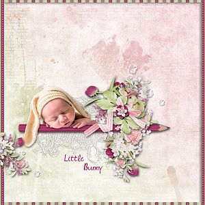 Little Bunny