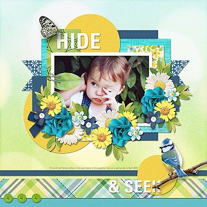 HIDE & SEEK