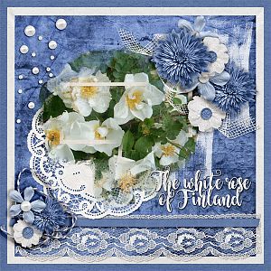 The-white-rose-of-Finland