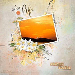 Summer Cocktail