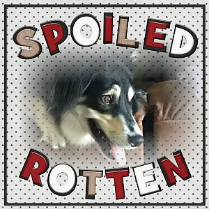 Rotten