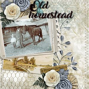 Old-homestead1