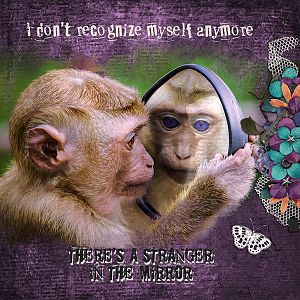 Monkey In The Mirror