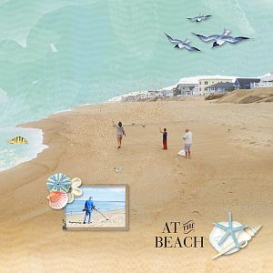 Beach Scene
