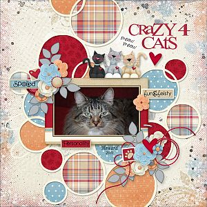 Crazy 4 Cats