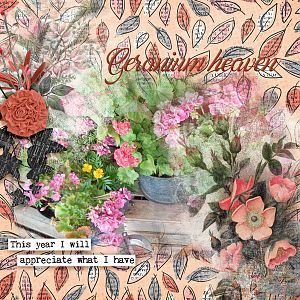 Geranium-heaven