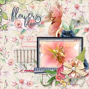 Flowers Bloom