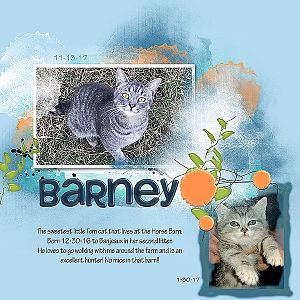 PBPWinYourWish818-Barney