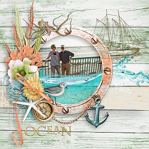 At the Ocean