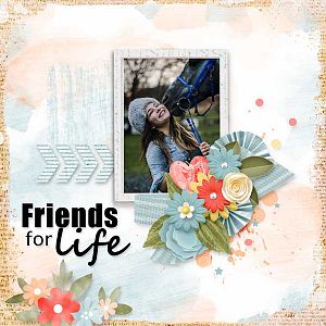 A Beautiful Friendship