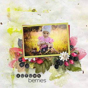 Autumn Berries