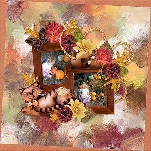 Booland Designs - Autumn Homespun - Barbara50 2