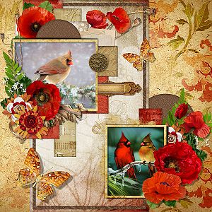 Poppythorn Lane by Booland Designs