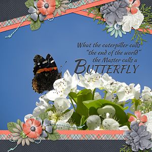 ... the Master calls a BUTTERFLY