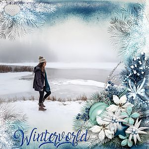 Winterworld