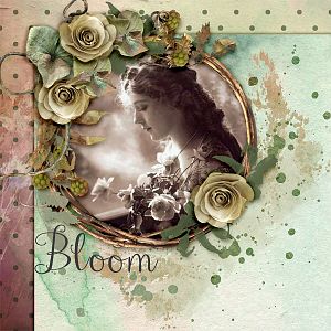 Bloom13