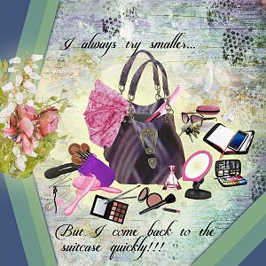 Jan2019-WDYHandbagSay