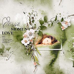 Tender Touch by Tiramisu Designs