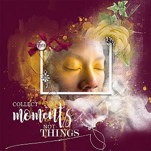 collect moments not things