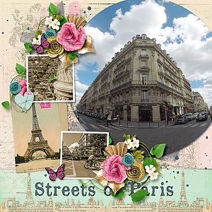 Streets of Paris