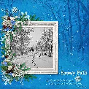 Snowy Path