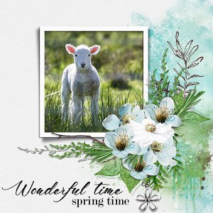 springtime wonder copy.jpg