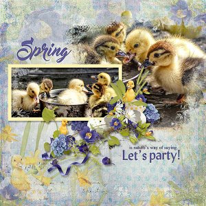 Spring Party