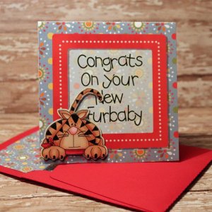 Congrats card with matching envie