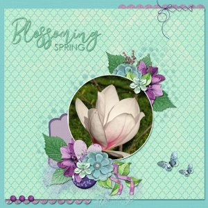 blosssoming-spring.jpg