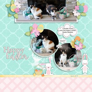 Easter Cats