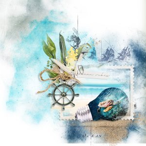 Ocean Vibes