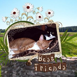 Best friends forever