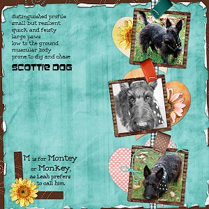 Scottie dog