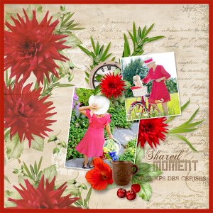 Shared moment de Simplette sortie 22 juin-WA du kit-photo Pixabay de Jill111-JillWellington.jpg