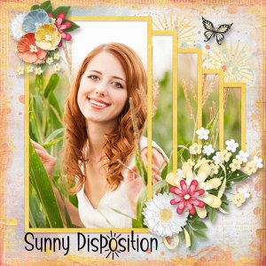 sunny-disposition-fayette_f.jpg