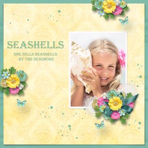 Seashells